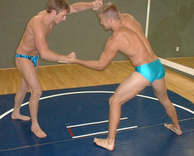 <iframe src="https://player.vimeo.com/video/137346740" width="500" height="281" frameborder="0" webkitallowfullscreen mozallowfullscreen allowfullscreen></iframe>