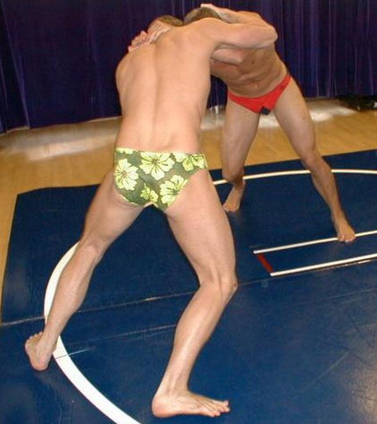 Max Anderson vs. Brian Hollister