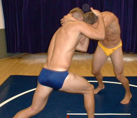 <iframe src="https://player.vimeo.com/video/133105381" width="500" height="281" frameborder="0" webkitallowfullscreen mozallowfullscreen allowfullscreen></iframe>