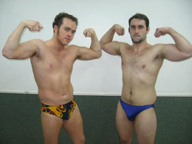 <iframe src="https://player.vimeo.com/video/137334701" width="500" height="281" frameborder="0" webkitallowfullscreen mozallowfullscreen allowfullscreen></iframe>