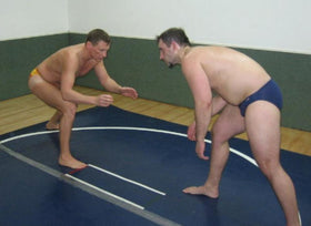 <iframe src="https://player.vimeo.com/video/137334947" width="500" height="281" frameborder="0" webkitallowfullscreen mozallowfullscreen allowfullscreen></iframe>