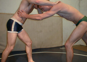 <iframe src="https://player.vimeo.com/video/133202943" width="500" height="281" frameborder="0" webkitallowfullscreen mozallowfullscreen allowfullscreen></iframe>